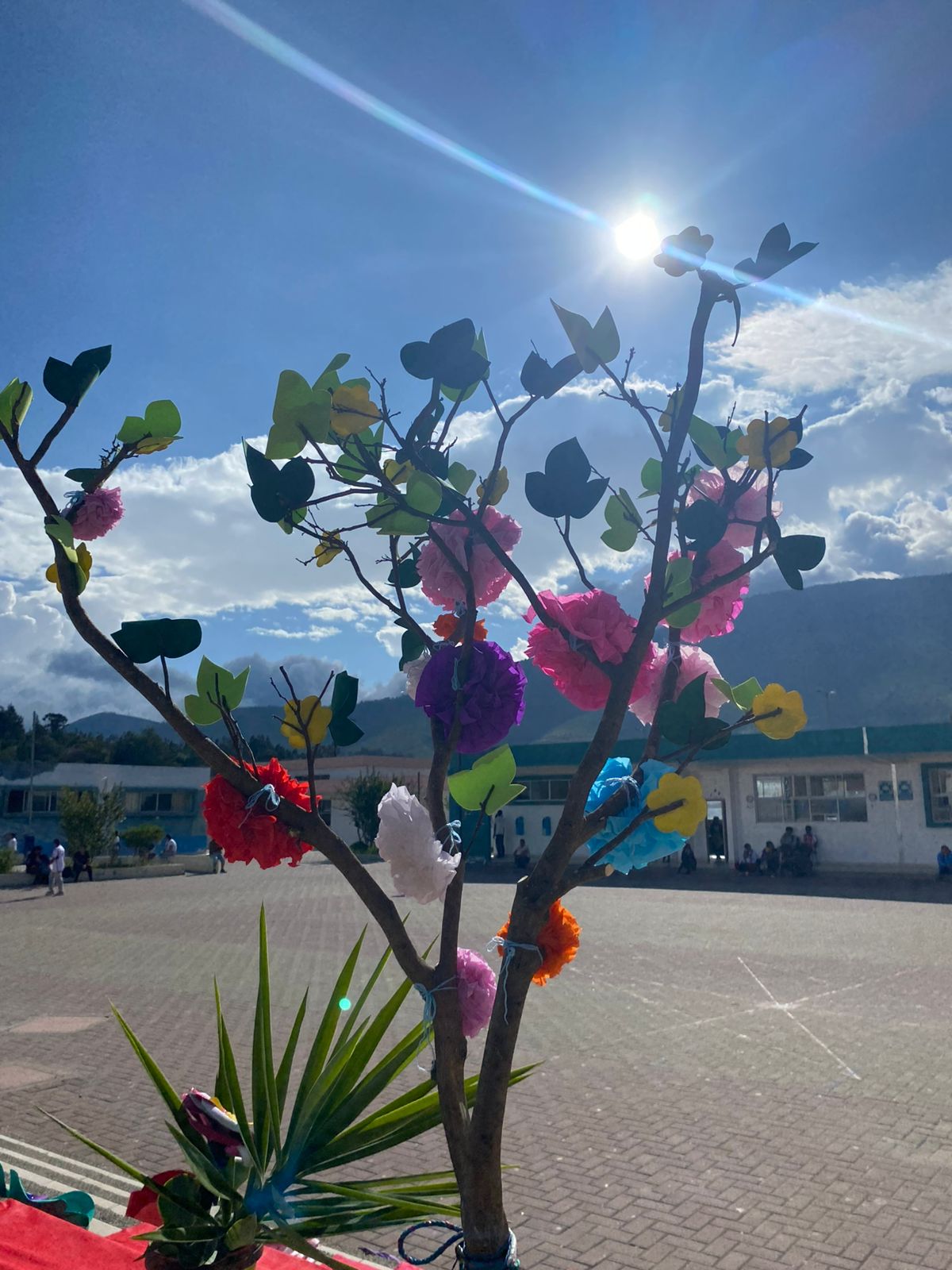 Galería 20
